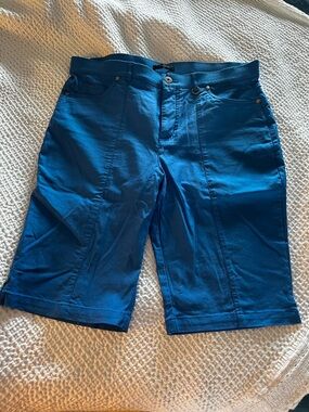 Simon Chang Blue Bermuda Sporty Summer Quality Shorts size 14